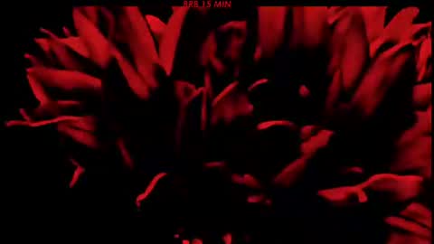 Sasha online show from 06.21.26