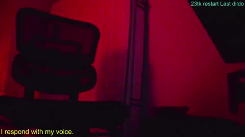 Snapshot of heterolikeanal chatting on 11.30.25 X AlexoSexo69 online show from 11.30.25