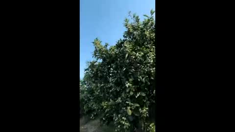 Snapshot of heterooli chatting on 03.29.26 heterooli online show from 03.29.26