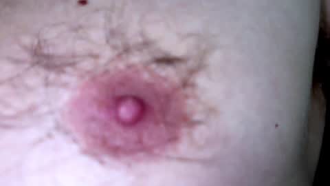 Arnold online show from 12.07.24