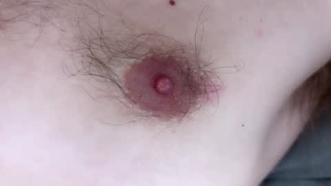 Arnold online show from 12.13.24