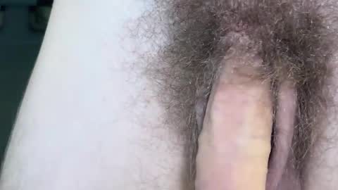 Arnold online show from 11.17.25