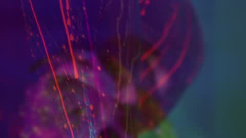 Alina online show from 09.08.25