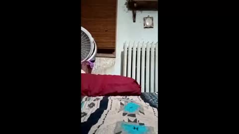 Snapshot of heythatguy2589 chatting on 03.21.26 heythatguy2589 online show from 03.21.26