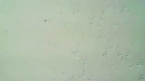 hhhjnf1 online show from 09.20.25