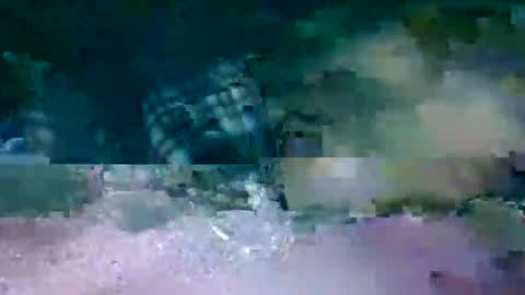 MR. Bation online show from 02.17.26