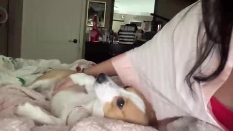 HiddenR0se online show from 02.14.26