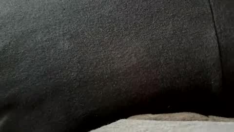 higheguy online show from 02.20.26