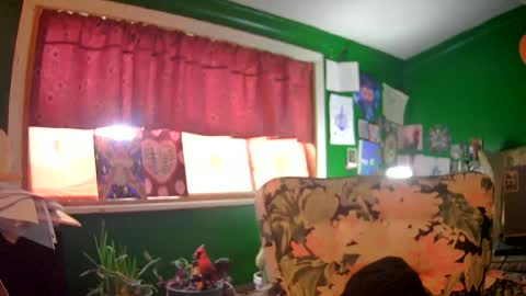 Snapshot of hippiedad333 chatting on 06.16.26 hippiedad333 online show from 06.16.26