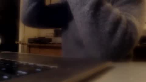 histrionical1 online show from 02.13.26