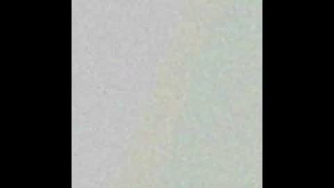 Snapshot of hngtop4furedadstx chatting on 03.09.25 Hung top 4 furry dads online show from 03.09.25