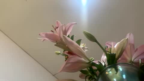 Snapshot of hollykoff chatting on 01.12.26 space online show from 01.12.26