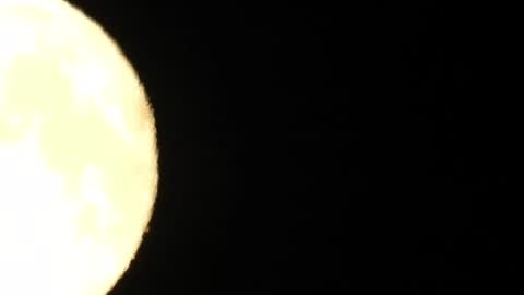 horny_edgucated online show from 07.30.26
