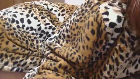 Serena online show from 02.22.25