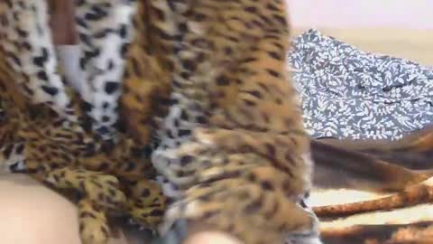 Serena online show from 03.02.25