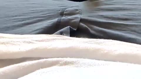 Tiny cock online show from 04.25.26