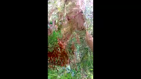 hornybiguycd online show from 05.03.26