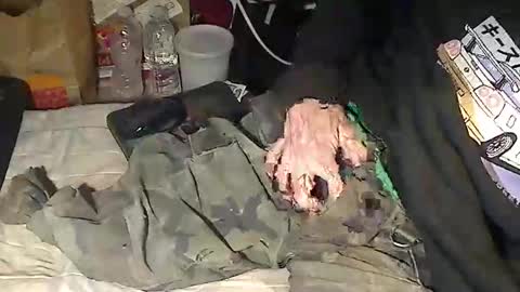 hornyscott666 online show from 06.02.26