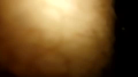 horsecock9748 online show from 03.06.26