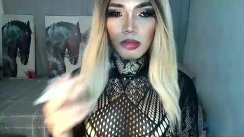 HORSECOCKterra online show from 09.08.25