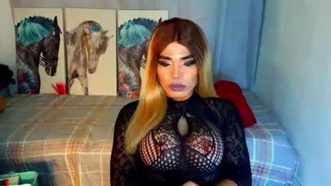 HORSECOCKterra online show from 09.24.25