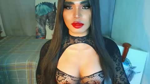 HORSECOCKterra online show from 11.20.25