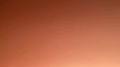 Marcus  Tatti  online show from 02.20.25