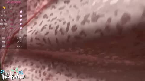 Snapshot of hot_thumbelina chatting on 01.05.25 Hot Thumbelina online show from 01.05.25