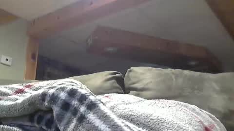 Hot and Horny online show from 05.01.26