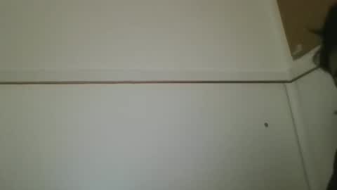 Snapshot of hotandwild2003 chatting on 02.16.26 hotandwild2003 online show from 02.16.26