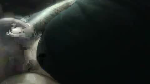 Snapshot of hotcream259 chatting on 01.09.25 hotcream259 online show from 01.09.25