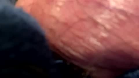 Snapshot of hotdog1124 chatting on 01.06.25 hotdog1124 online show from 01.06.25