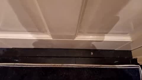 Snapshot of hothornyanddutch chatting on 04.07.26 Hot Dutchie online show from 04.07.26