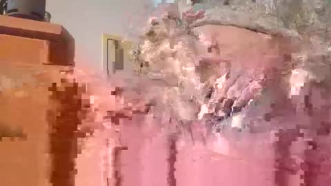 hottinrh2 online show from 05.03.26