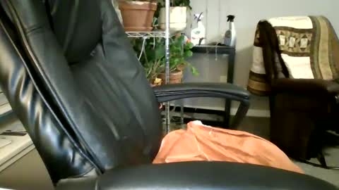 Hottop 1981 online show from 03.04.25