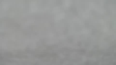 Slutty little female cat online show from 06.21.26