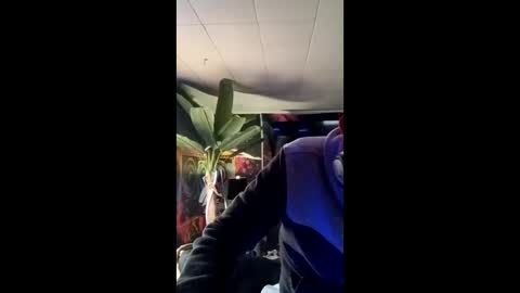 SeanPatrick online show from 05.13.26