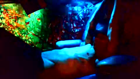 ask me online show from 01.12.25