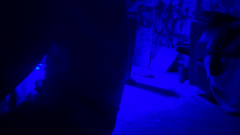 ask me online show from 04.21.26