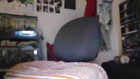 Snapshot of hrnyymff chatting on 11.28.25 hrnyymff online show from 11.28.25