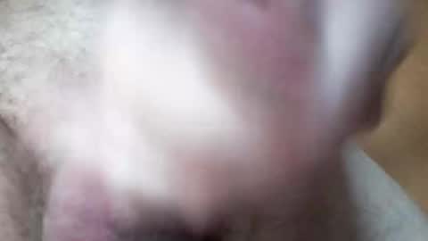 Snapshot of hrubesch2019 chatting on 10.26.25 hrubesch2019 online show from 10.26.25