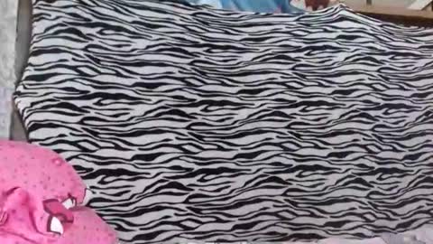 bella    passwordshow 500tokens  no time limit online show from 10.19.25