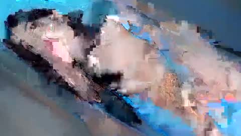 Yhanie online show from 02.03.25