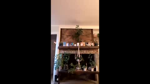 Snapshot of hungitalian40 chatting on 01.15.26 hungitalian40 online show from 01.15.26