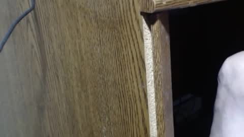 Snapshot of hungsofine chatting on 12.29.24 hungsofine online show from 12.29.24