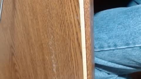 Snapshot of hungsofine chatting on 01.08.25 hungsofine online show from 01.08.25