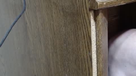 Snapshot of hungsofine chatting on 02.16.25 hungsofine online show from 02.16.25