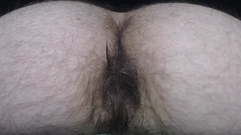  I AM NOT A DIRECTOR I AM THE BOSS            KINGDADDYSIRSTR8ALPHAMASTER online show from 12.27.24