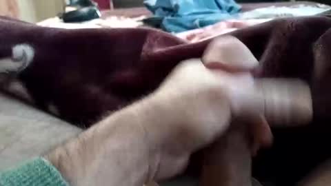 Snapshot of husky1511 chatting on 11.11.25 husky1511 online show from 11.11.25