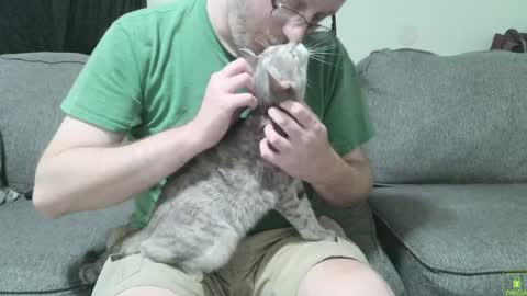 Snapshot of hybridhuman666 chatting on 09.30.25 Bob Anderson online show from 09.30.25